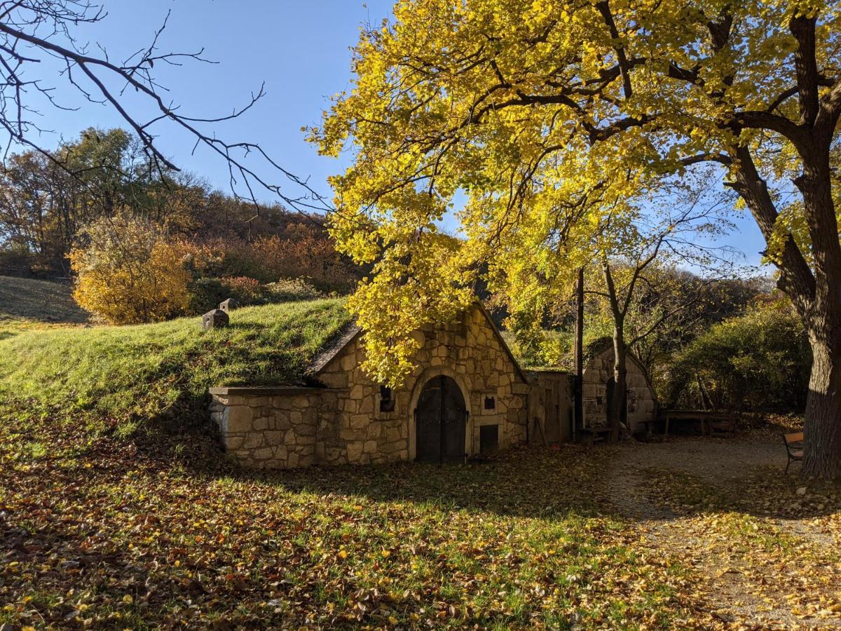 Bonito - Historischer Streckhof Vila Schützen am Gebirge Exterior foto